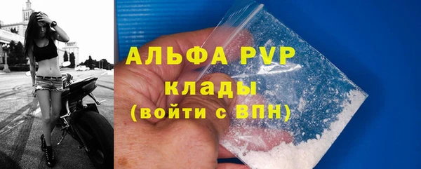 PSILOCYBIN Рославль