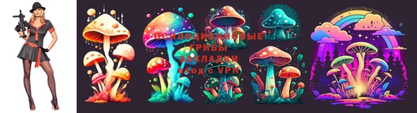 jwh Каменногорск