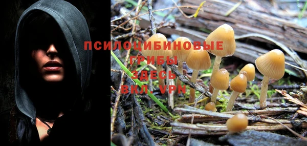 прущий лед Протвино