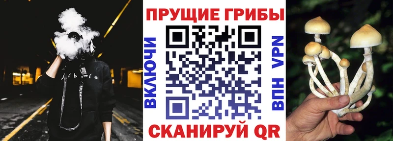 Псилоцибиновые грибы ЛСД  KRAKEN зеркало  Сосенский  что такое  